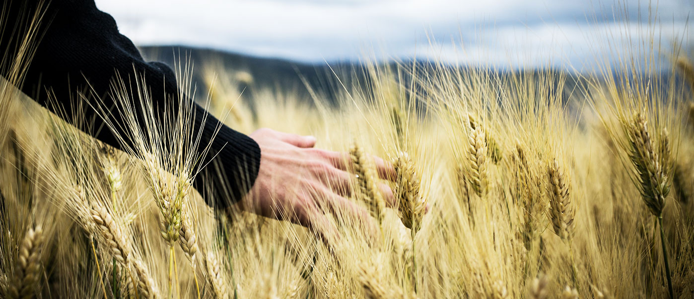 i sacchi di grano e di farina sono ricordi dell’infanzia