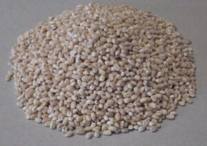 Orzo Pelato